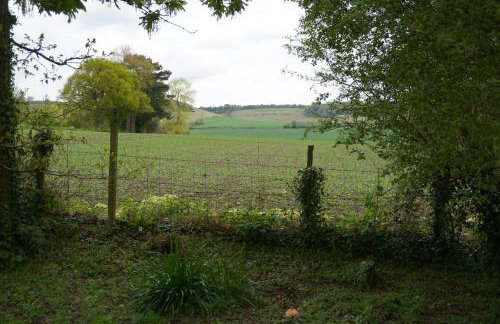 The Cabin with Hot Tub - Foto 16