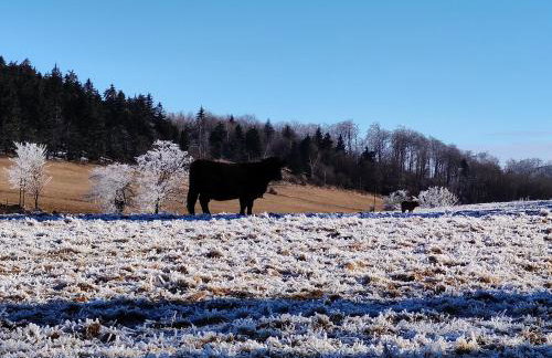 Siódme Niebo domek w górach - Foto 73