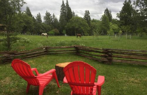 Rustic Cabin Rental in a Wild Meadow near Crater Lake National Park, Oregon - Photo 10