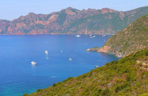 Résidence les Eucalyptus, Appart à 500m de la mer et du centre - Foto 25