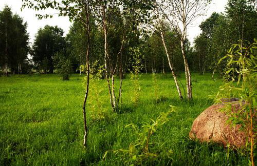 Przystan Kurpiowska - Foto 21