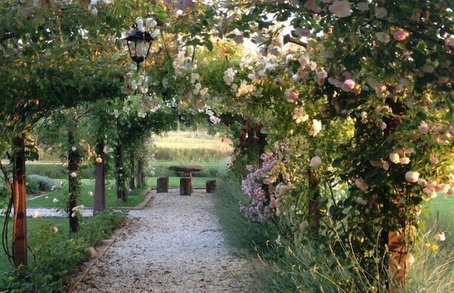 Abbazia Sette Frati Agriturismo Fratres - Photo 38