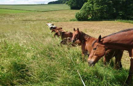 Ferienhaus vom Bahratal - Foto 57