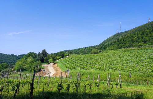 Residence Magnolia - Photo 12