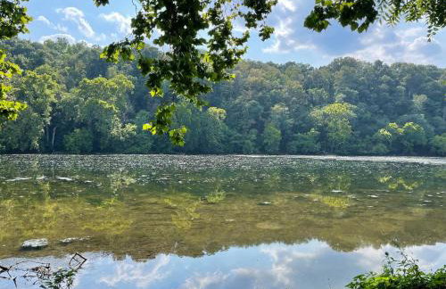 The Firefly Lodge at ShenandoahHot Tub~ View~Pets - Foto 22