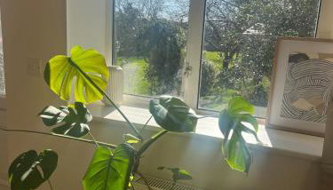 Stonefield Cottage - Modern cottage entire home in Cotswolds village - Foto 4, Garden view