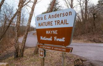 Sleeps 16 Luxury Cabin with Game Room & Hot Tub - Foto 57