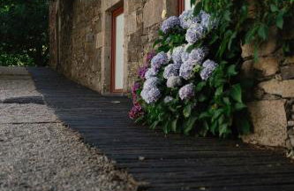 Morgadio da Calcada Douro Wine&Tourism - Photo 54