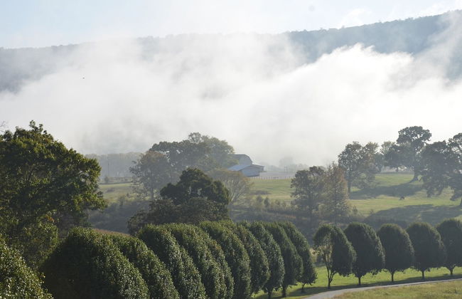 Mountain Cove Farms Resort - Foto 18