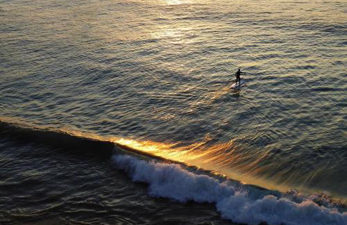 Copper Tree - Foto 45