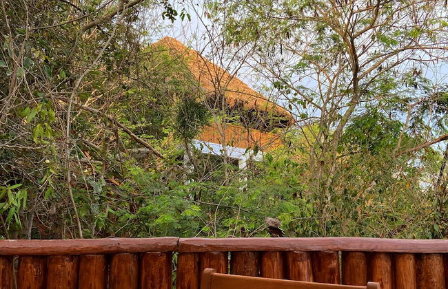 Palm Valley Cabins - Foto 62