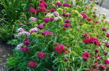 A Casa dos Avós - Alojamento Local - Foto 72