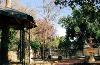 Finca Vitoria - Foto 27