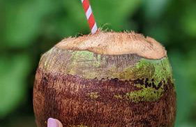 Casa da Rose - Foto 17