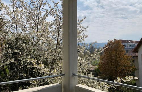 Deluxe Business City Apartments Metzingen Villa Landenberger - Foto 30