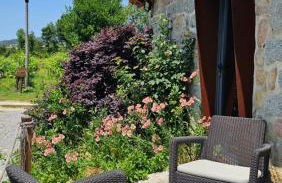 Quinta Lama de Cima - Foto 8