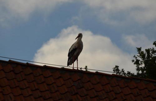 radlerunterkunft Grabau Nr.1 - Foto 21