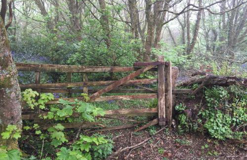 Mount Hawke Holiday Bungalows - Foto 12