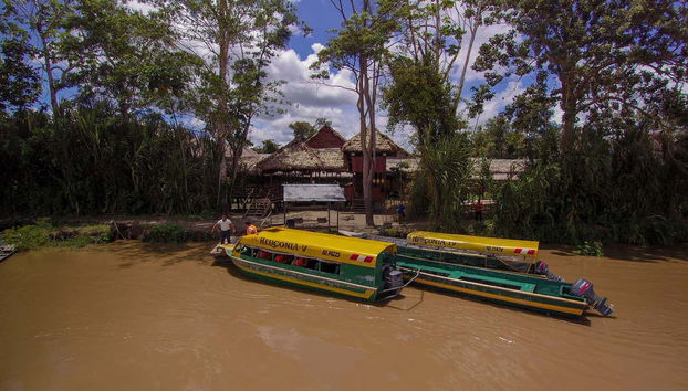 3 or 4-Day Yanamono Forest Tour - Photo 2, Excursion to the Yanamono forest