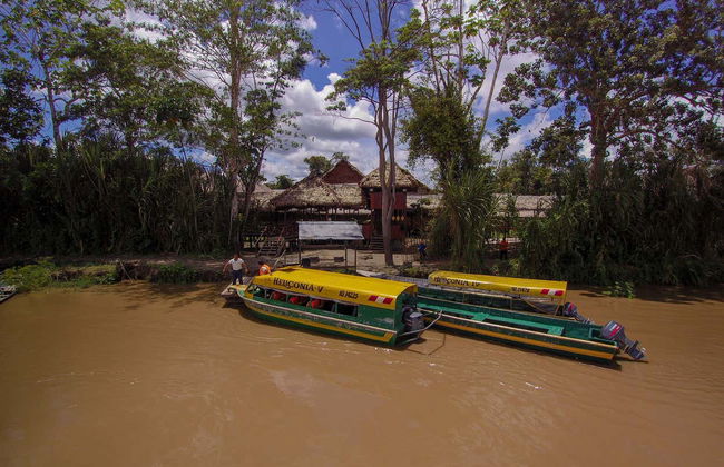 3 or 4-Day Yanamono Forest Tour - Photo 2