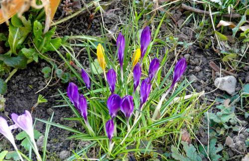 Ferienwohnung Kraus - Photo 18