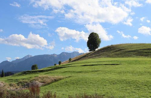 Ferienwohnung Bichelblick - Foto 24