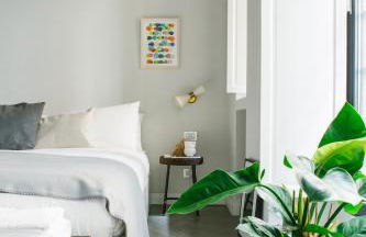 Greenhouse by Costanza - Photo 2