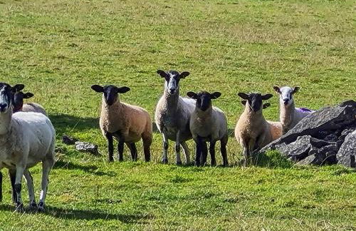 Rock Cottage - Foto 16