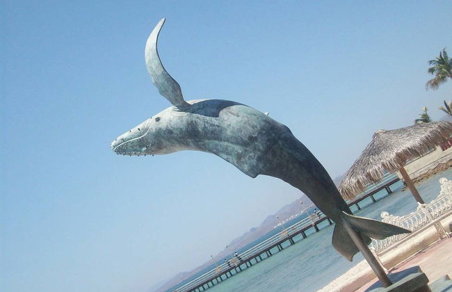 La Paz, Cancer Tropic & Todos Santos Day Trip - Foto 1