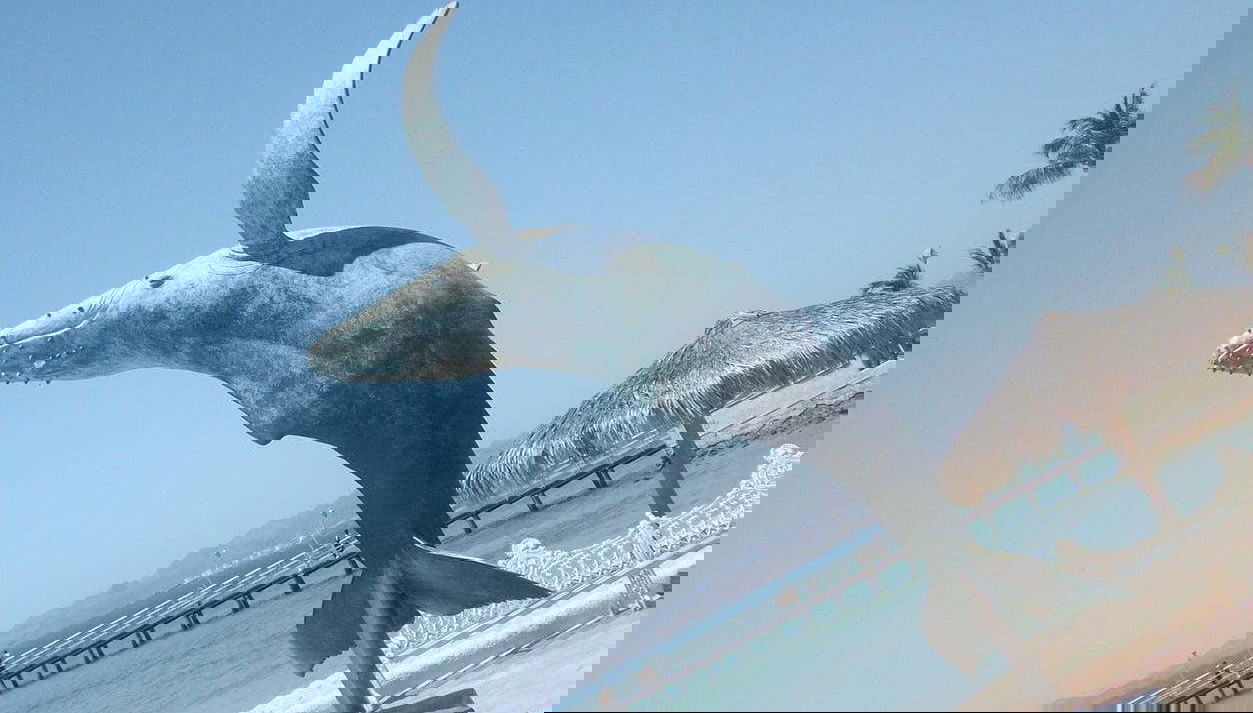 La Paz, Cancer Tropic & Todos Santos Day Trip - Foto 1