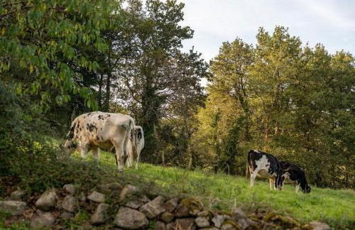 The Stone House naturaleza y confort - Foto 43
