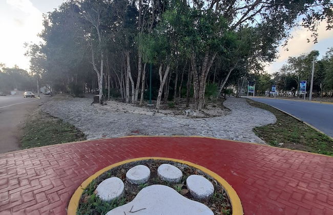 Devoted Hoestel in Cancun With Equipped Kitchen, Pool, Close to Beaches & More! - Photo 28