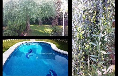 Villa 100 m from the beach - Foto 25