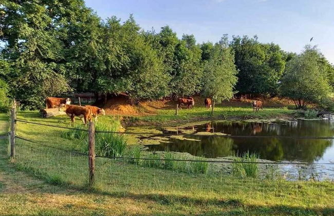 Lamperse hei - Photo 36