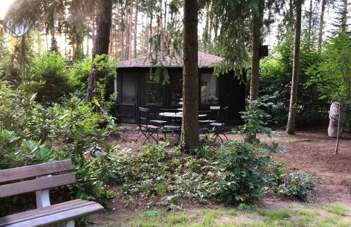 Ferienhaus Reetdach 1300qm Privatgrundstück Bootssteg Sauna Templin Lübbesee Uckermark Erholung pur Seenplatte - Photo 30