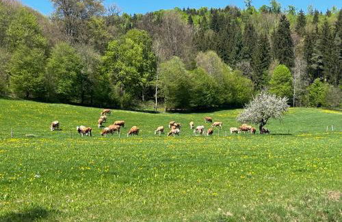Ferienwohnung Josi , 64 qm 2 Zimmer - Foto 37