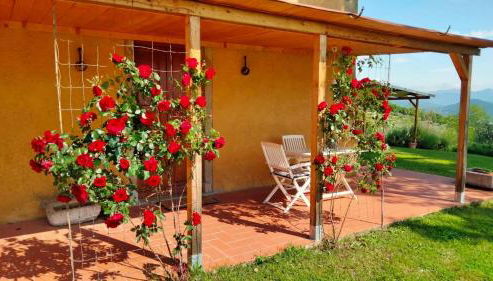 Vigna del Poggio - Foto 3