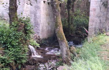 EL VIEJO MOLINO - Foto 22