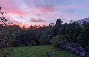 Casa do Almance - Foto 43