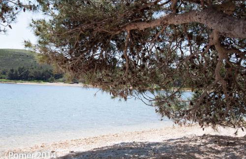 Apartments Finera - Foto 28