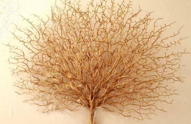 Secure Solar Powered two Bedroomed Haven - Photo 16