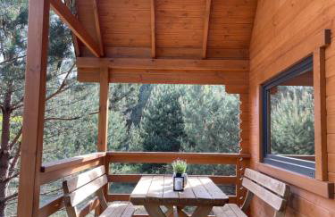 Domki Sosnowy Zakątek Swornegacie - Foto 42