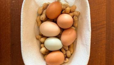 Agriturismo La Vecchia Chioderia - Photo 3