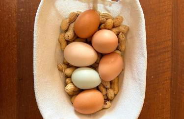 Agriturismo La Vecchia Chioderia - Foto 3