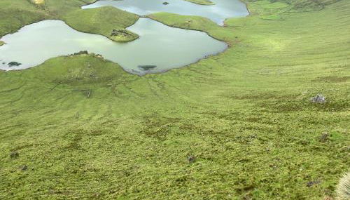 Casa do Nitsa - Photo 3