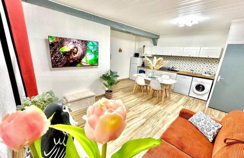 L'Envolée, centre ville parking gratuit - Foto 22