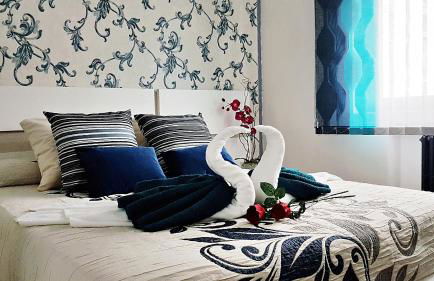 Salamanca Frog - Foto 37