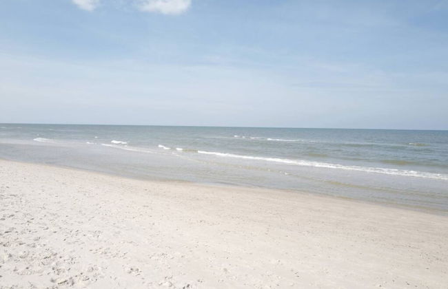 Art Forrest 33 K in Rogowo - Photo 19