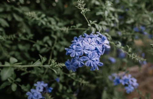 Crystal Studios - Foto 39