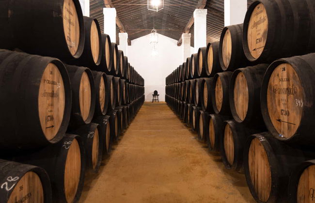 Visite des Bodegas Álvaro Domecq - Photo 3